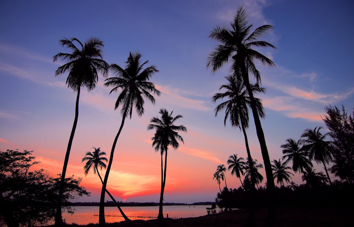 Top 5 Travel Tips for Visiting Bangkok in the Summer