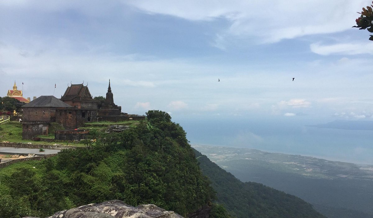 Pepper Plantations of Kampot: Cambodia's Gourmet Treasure