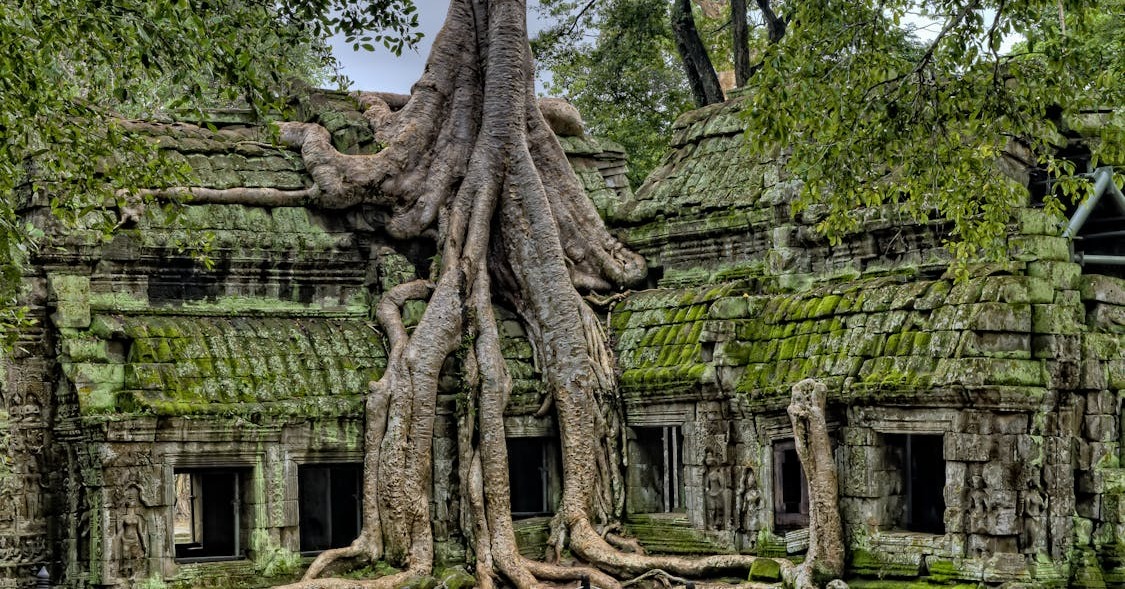 Finding Your Perfect Stay: A Guide to Accommodation in Phnom Penh