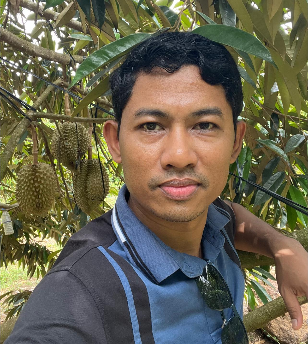 author profile
